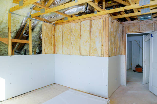 Best Eco-Friendly Insulation in Ddanelle, AR