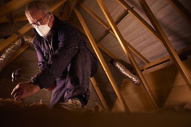 Best Specialized Insulation Services in Ddanelle, AR
